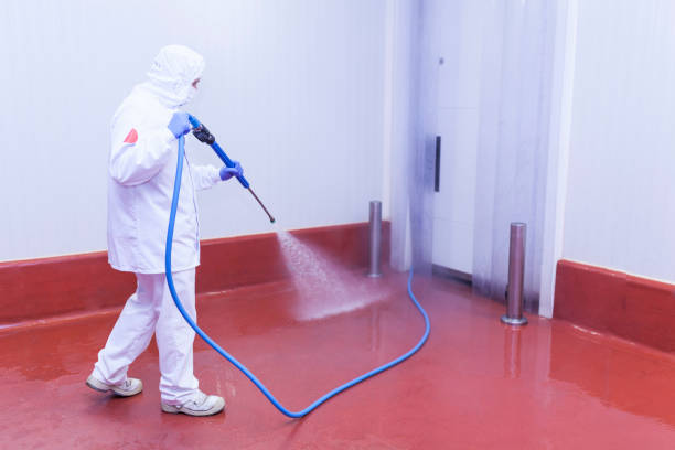 Best Warehouse Cleaning  in Makawao, HI